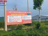 Quảng Xương-Thanh Hóa: Xưởng sản xuất giày da được xây dựng không phép, lấn chiếm đất nông nghiệp