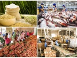 Đẩy mạnh truyền thông thương hiệu nông sản Việt trên thị trường quốc tế