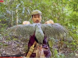 Kon Tum: Một Youtuber săn bắt động vật giống gà lôi vằn?
