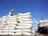 Ấn Độ áp thuế 20% đối với gạo xuất khẩu của Việt Nam