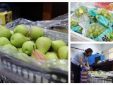 Hà Nội: Xử phạt hàng loạt cửa hàng hoa quả nhập khẩu vi phạm