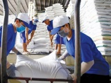 Cơ hội bứt phá cho xuất khẩu gạo những tháng cuối năm