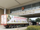 Việt Nam xuất khẩu chính ngạch 33 tấn sầu riêng qua cửa khẩu Kim Thành 