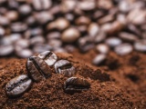 Xuất khẩu cà phê sang Tây Ban Nha đạt gần 72 nghìn tấn trong 9 tháng năm 2022