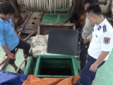 Bà Rịa - Vũng Tàu: Liên tiếp bắt giữ nhiều tàu chở dầu DO không rõ nguồn gốc