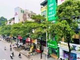 Hà Nội: Đề xuất di dời 80 cây hoa sữa trên đường Nguyễn Chí Thanh