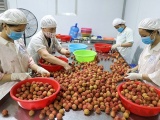 Việt Nam đặt mục tiêu đến năm 2025 xuất khẩu trái cây đạt trên 5 tỷ USD