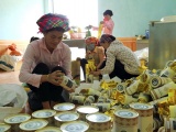 Việt Nam thúc đẩy sản xuất tại khu vực nông thôn, miền núi và hải đảo