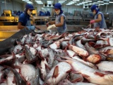 Xuất khẩu cá tra hướng đến mốc 10 tỷ USD 
