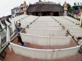 Giữ gìn và phát triển làng nghề truyền thống mì gạo Hùng Lô