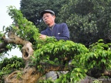 Nghệ nhân Đặng Xuân Cường - người sở hữu nhiều 'siêu cây bạc tỷ' 