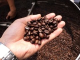Ngành cà phê Việt Nam có thể thiết lập mốc kim ngạch kỷ lục 4 tỷ USD