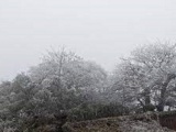 Dự báo thời tiết ngày 17/12: Bắc Bộ rét sâu và khô, vùng núi cao khả năng có băng giá