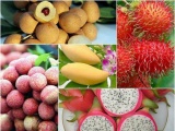 Xuất khẩu trái cây được kỳ vọng đạt 4 tỷ USD trong năm 2023