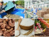 Top 7 nhóm hàng nông sản xuất khẩu trên 3 tỷ USD năm 2022