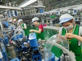 Việt Nam là điểm đến đầu tư hàng đầu của doanh nghiệp châu Âu