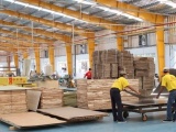 Việt Nam nằm trong top 5 thị trường xuất khẩu gỗ dán lớn trên thế giới