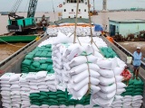 Giá gạo xuất khẩu của Việt Nam tăng 15 USD/tấn sau Tết