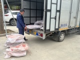 Lực lượng QLTT Hà Nội tạm giữ 700 kg nầm lợn không rõ nguồn gốc