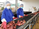 Việt Nam có nhiều lợi thế để phát triển trái chanh leo