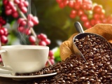 Kim ngạch xuất khẩu cà phê Việt sang Italy tăng trưởng ấn tượng