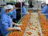 Việt Nam cần đẩy mạnh tiêu dùng nội địa, đa dạng hóa thị trường xuất khẩu