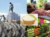 Doanh nghiệp Việt cần lưu ý 4 xu hướng khi xuất khẩu sang Hàn Quốc