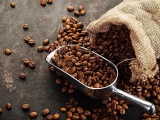 Tây Ban Nha đẩy mạnh nhập khẩu cà phê Việt Nam