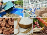 Doanh nghiệp Việt cần lưu ý khi xuất khẩu nông sản sang thị trường Australia