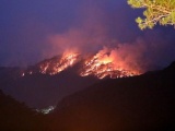 Vụ cháy trên đèo Prenn Đà Lạt gây ảnh hưởng khoảng 10ha rừng 