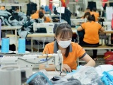 Việt Nam còn nhiều tiềm năng xuất khẩu hàng dệt may, thuỷ sản sang Israel