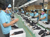 Việt Nam đẩy mạnh xúc tiến thương mại tại thị trường Hà Lan