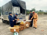 Quảng Ninh xử phạt 915 cơ sở vi phạm an toàn thực phẩm trong quý I/2023
