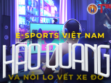 ESports Việt Nam - 'Hào quang rực rỡ' và nỗi lo vết xe đổ 'dàn xếp' trong thi đấu