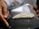 Độc lạ thịt cá tươi in 3D chuẩn bị ra mắt thị trường
