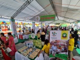 Hơn 300 sản phẩm đặc trưng của Quảng Nam được quảng bá tại Đà Nẵng