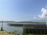 Nhiều bất cập tại dự án nhà máy điện mặt trời Thiên Tân Ninh Thuận