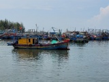 EC lùi lịch kiểm tra chống khai thác thủy sản bất hợp pháp tại Việt Nam