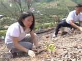 Quỹ Trăng Xanh (thuộc Tập đoàn Bách Việt) gieo mầm xanh trên những đồi trọc