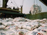 Thủ tướng yêu cầu tận dụng tối đa hạn ngạch thuế quan để thúc đẩy xuất khẩu gạo