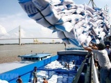 Cơ hội cho gạo xuất khẩu của Việt Nam bứt phá 
