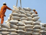 Cả nước xuất khẩu hơn 4,48 triệu tấn gạo, thu về gần 2,4 tỷ USD