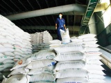 Bộ Công Thương yêu cầu DN không mua gom lúa gạo ồ ạt, đẩy giá tăng bất hợp lý