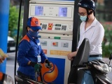 Việt Nam chi 790 triệu USD nhập khẩu xăng dầu trong tháng 7/2023