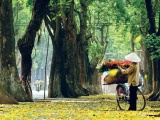 Dự báo thời tiết ngày 21/8: Bắc Bộ trời dịu mát, Nam Bộ có mưa dông