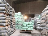 Tổng cục Dự trữ Nhà nước yêu cầu đảm bảo đủ gạo cho các tình huống đột xuất