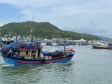 Việt Nam đã cắt giảm gần 10.000 tàu cá, quyết gỡ thẻ vàng IUU