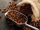 Xuất khẩu cà phê đạt 1,2 triệu tấn trong 8 tháng qua