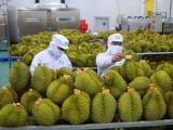 Bộ NN&PTNT phản hồi về thông tin trái cây xuất khẩu sang Trung Quốc bất ngờ bị 'tuýt còi'