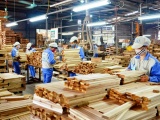 Xuất khẩu gỗ, sản phẩm từ gỗ dần hồi phục và mở rộng thị trường tới Ấn Độ và Trung Đông